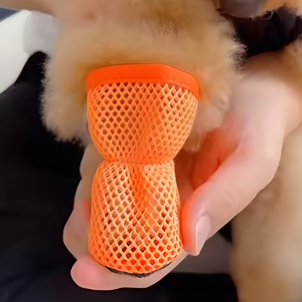 Moda y Protección para Patitas