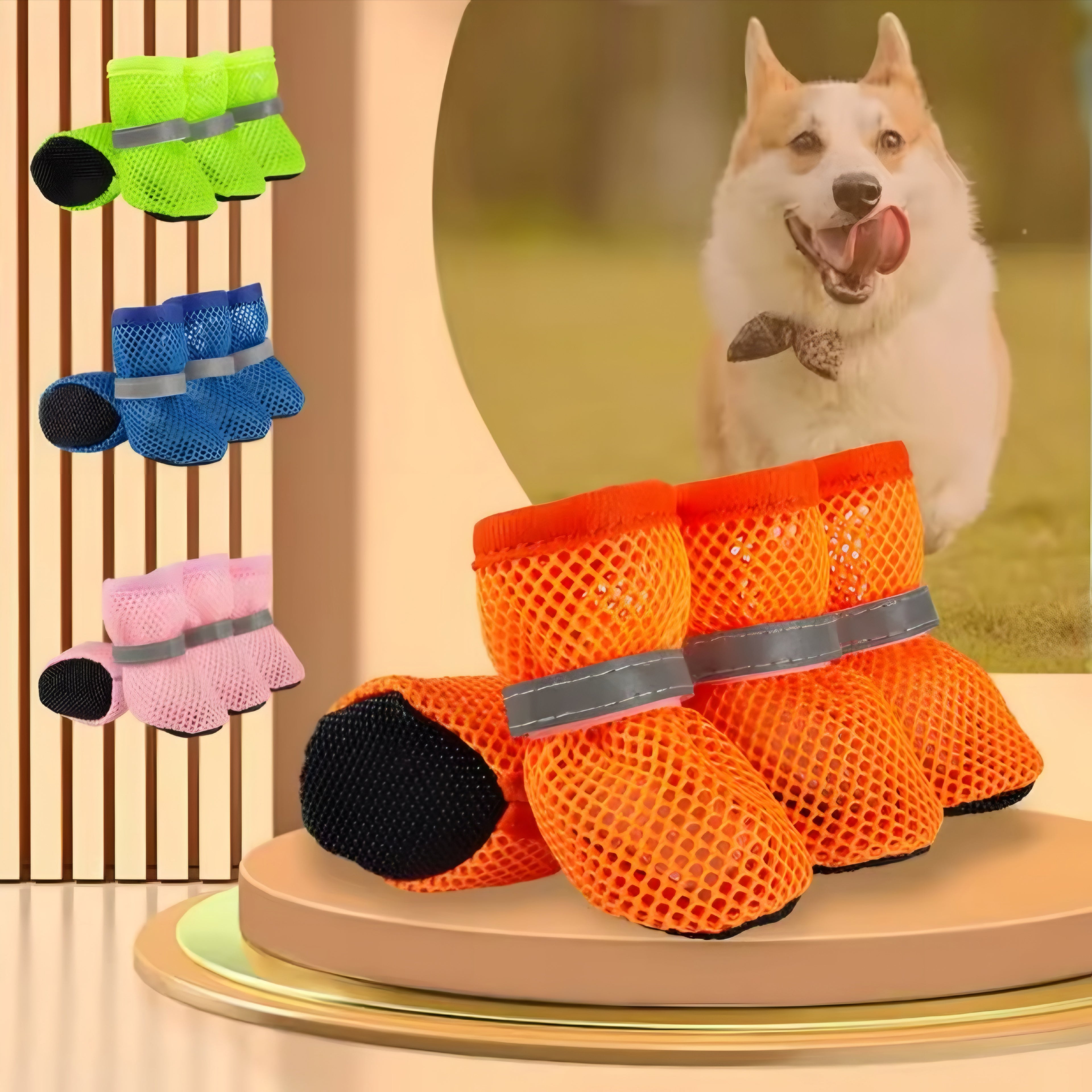 Moda y Protección para Patitas