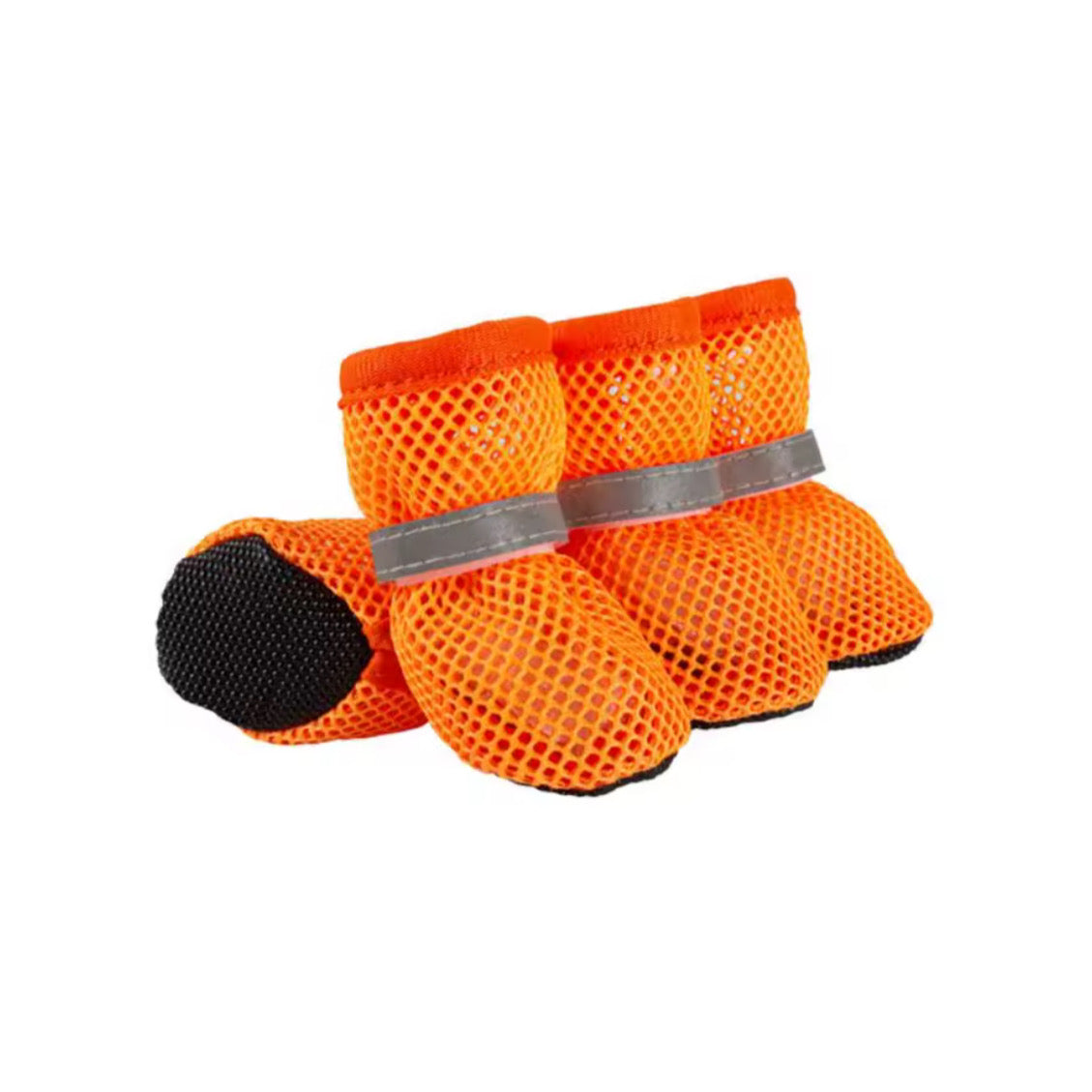 Moda y Protección para Patitas