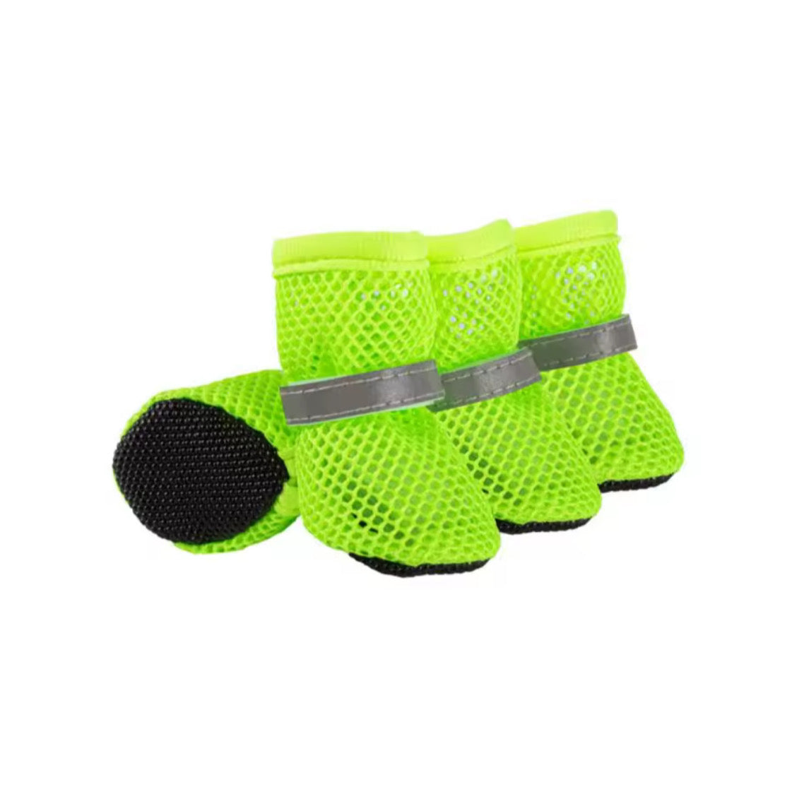 Moda y Protección para Patitas