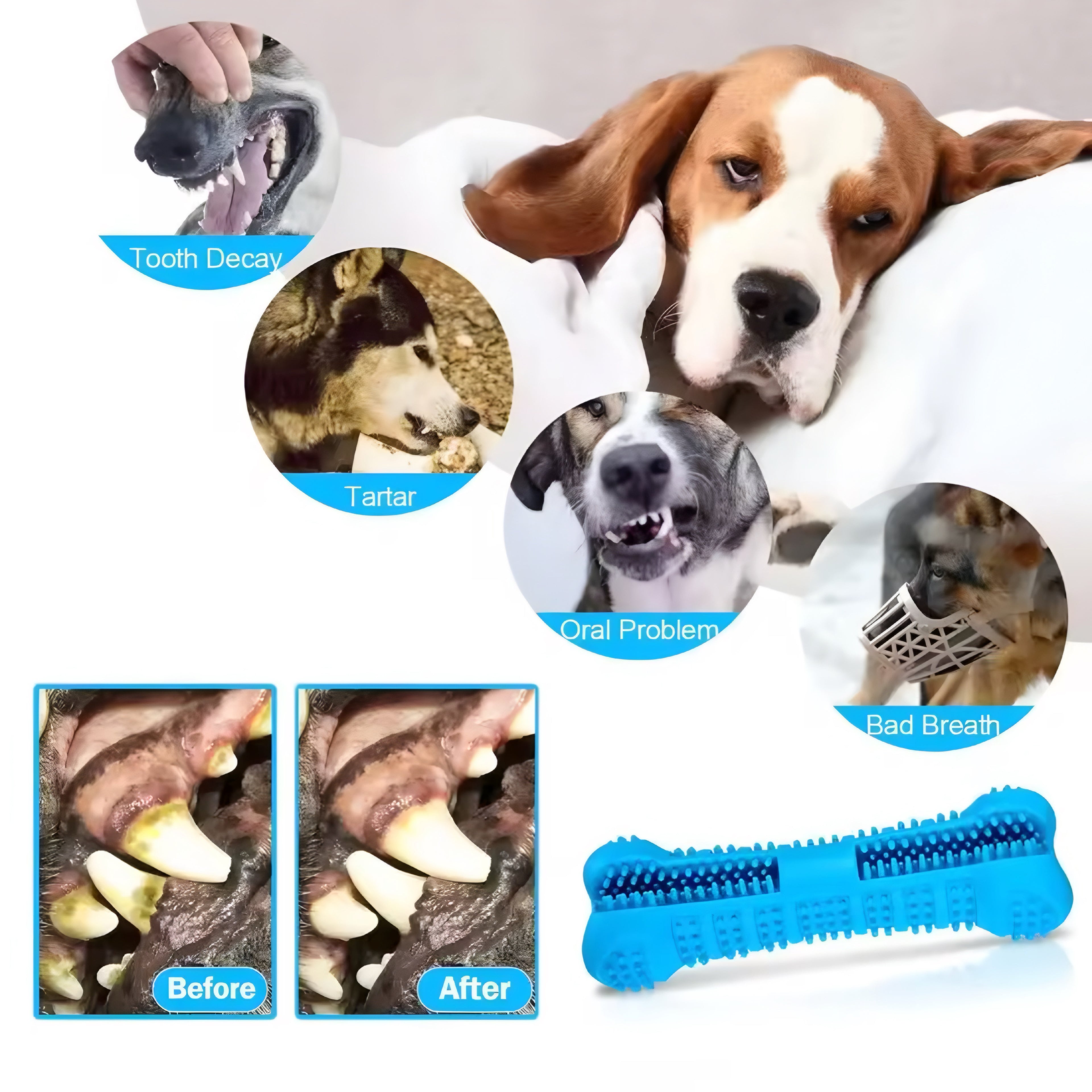 Cepillo de Dientes y Juguete Masticable para Perros