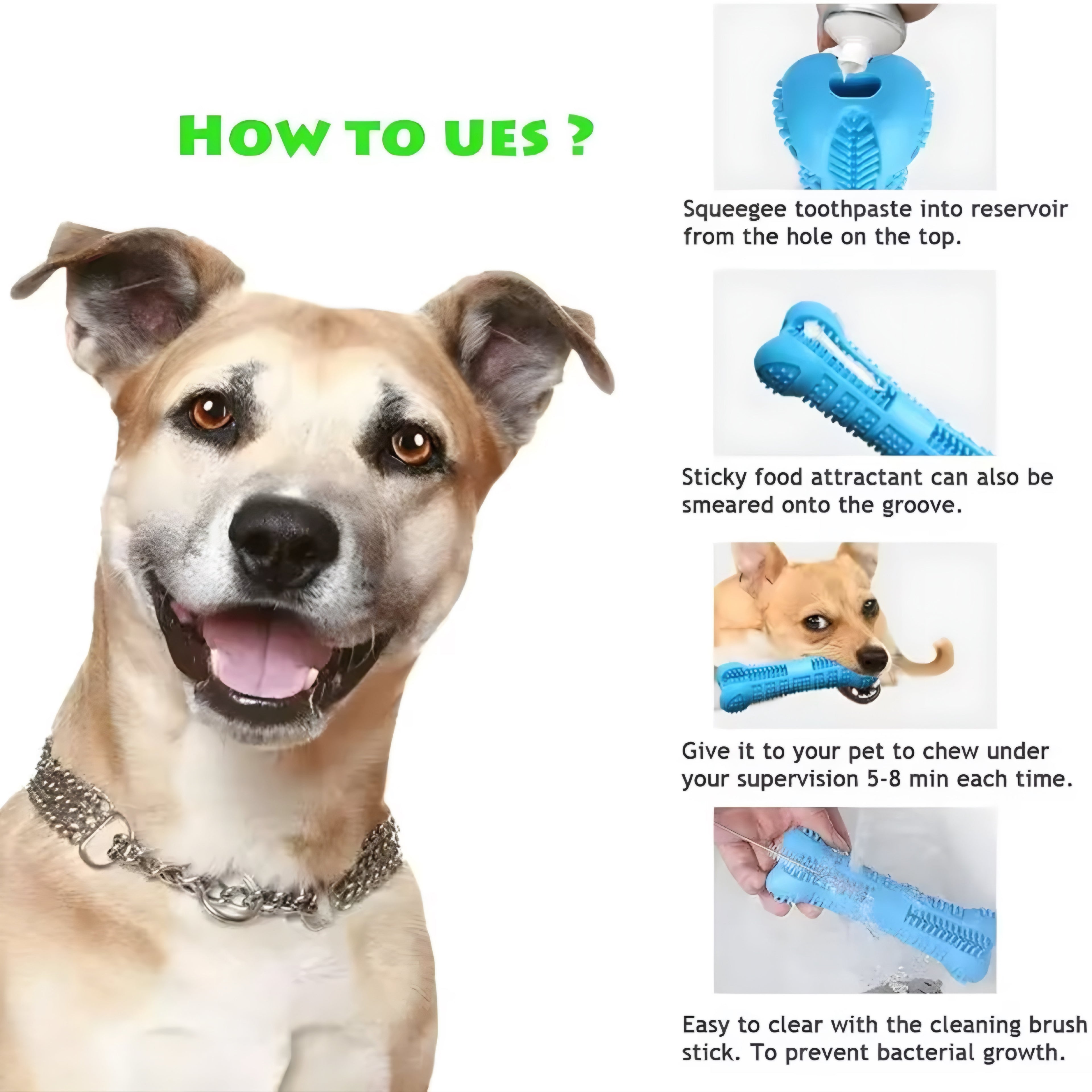 Cepillo de Dientes y Juguete Masticable para Perros